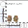     5_MO_0320100_0455-M1.png - Coal Creek Research, Colorado Projectile Point, 5_MO_0320100_0455 (potential grid: #215, Sanborn Park)
        
