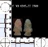     5_MO_0360100_0020.png - Coal Creek Research, Colorado Projectile Point, 5_MO_0360100_0020
        
