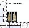     5_MO_0380100_0009-M2.png - Coal Creek Research, Colorado Projectile Point, 5_MO_0380100_0009 (potential grid: #248, Placerville)
        
