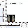     5_MO_0380100_0075-M2.png - Coal Creek Research, Colorado Projectile Point, 5_MO_0380100_0075 (potential grid: #183, Norwood)
        
