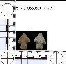     5_MO_0380300_0027-M1.png - Coal Creek Research, Colorado Projectile Point, 5_MO_0380300_0027 (potential grid: #279, Horsefly Peak)
        

