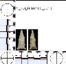 Coal Creek Research, Colorado Projectile Point, 5_MO_0380500_0010 (potential grid: #182,...