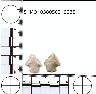 Coal Creek Research, Colorado Projectile Point, 5_MO_0380503_0035 (potential grid: #183,...