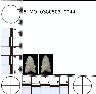 Coal Creek Research, Colorado Projectile Point, 5_MO_0380503_0044 (potential grid: #215, Sanborn...