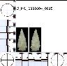 Coal Creek Research, Colorado Projectile Point, 5_MO_0380604_0015 (potential grid: #247, Hotchkiss...