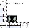     5_MO_0380604_0018-M2.png - Coal Creek Research, Colorado Projectile Point, 5_MO_0380604_0018 (potential grid: #248, Placerville)
        
