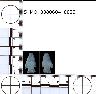 Coal Creek Research, Colorado Projectile Point, 5_MO_0380604_0029 (potential grid: #279, Horsefly...