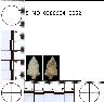 Coal Creek Research, Colorado Projectile Point, 5_MO_0380604_0052 (potential grid: #182,...