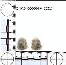     5_MO_0380604_0056-M1.png - Coal Creek Research, Colorado Projectile Point, 5_MO_0380604_0056 (potential grid: #182, Ute)
        
