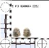     5_MO_0380604_0056-M2.png - Coal Creek Research, Colorado Projectile Point, 5_MO_0380604_0056 (potential grid: #183, Norwood)
        
