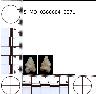 Coal Creek Research, Colorado Projectile Point, 5_MO_0380604_0071 (potential grid: #183,...