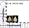 Coal Creek Research, Colorado Projectile Point, 5_MO_0380605_0012 (potential grid: #248,...