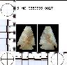 Coal Creek Research, Colorado Projectile Point, 5_MO_0380605_0027 (potential grid: #248,...