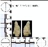 Coal Creek Research, Colorado Projectile Point, 5_MO_0380704_0083 (potential grid: #279, Horsefly...