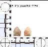     5_MO_0380704_0084-M2.png - Coal Creek Research, Colorado Projectile Point, 5_MO_0380704_0084 (potential grid: #183, Norwood)
        
