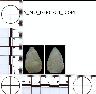     5_MO_0380704_0094-M2.png - Coal Creek Research, Colorado Projectile Point, 5_MO_0380704_0094 (potential grid: #183, Norwood)
        
