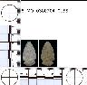     5_MO_0380704_0155-M1.png - Coal Creek Research, Colorado Projectile Point, 5_MO_0380704_0155 (potential grid: #182, Ute)
        
