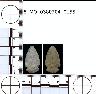     5_MO_0380704_0155-M2.png - Coal Creek Research, Colorado Projectile Point, 5_MO_0380704_0155 (potential grid: #183, Norwood)
        
