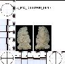     5_MO_0380900_0017-M1.png - Coal Creek Research, Colorado Projectile Point, 5_MO_0380900_0017 (potential grid: #247, Hotchkiss Reservoir)
        
