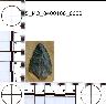     5_MO_0400100_0032.png - Coal Creek Research, Colorado Projectile Point, 5_MO_0400100_0032
        
