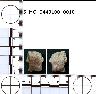 Coal Creek Research, Colorado Projectile Point, 5_MO_0440100_0010 (potential grid: #245, Dry Creek...