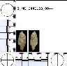 Coal Creek Research, Colorado Projectile Point, 5_MO_0440100_0044 (potential grid: #277, Montrose...