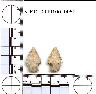     5_MO_0440100_0052-M4.png - Coal Creek Research, Colorado Projectile Point, 5_MO_0440100_0052 (potential grid: #278, Government Springs)
        
