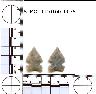     5_MO_0440100_0078-M4.png - Coal Creek Research, Colorado Projectile Point, 5_MO_0440100_0078 (potential grid: #278, Government Springs)
        
