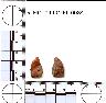 Coal Creek Research, Colorado Projectile Point, 5_MO_0440100_0084 (potential grid: #215, Sanborn...