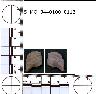     5_MO_0440100_0113-M4.png - Coal Creek Research, Colorado Projectile Point, 5_MO_0440100_0113 (potential grid: #278, Government Springs)
        
