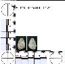     5_MO_0440100_0121-M2.png - Coal Creek Research, Colorado Projectile Point, 5_MO_0440100_0121 (potential grid: #245, Dry Creek Basin)
        
