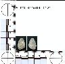     5_MO_0440100_0121-M3.png - Coal Creek Research, Colorado Projectile Point, 5_MO_0440100_0121 (potential grid: #277, Montrose West)
        
