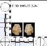     5_MO_0440100_0154-M2.png - Coal Creek Research, Colorado Projectile Point, 5_MO_0440100_0154 (potential grid: #245, Dry Creek Basin)
        
