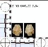     5_MO_0440100_0154-M3.png - Coal Creek Research, Colorado Projectile Point, 5_MO_0440100_0154 (potential grid: #277, Montrose West)
        

