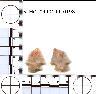     5_MO_0440100_0198-M3.png - Coal Creek Research, Colorado Projectile Point, 5_MO_0440100_0198 (potential grid: #277, Montrose West)
        

