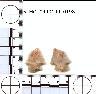     5_MO_0440100_0198-M4.png - Coal Creek Research, Colorado Projectile Point, 5_MO_0440100_0198 (potential grid: #278, Government Springs)
        

