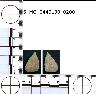     5_MO_0440100_0200-M3.png - Coal Creek Research, Colorado Projectile Point, 5_MO_0440100_0200 (potential grid: #277, Montrose West)
        
