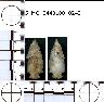     5_MO_0440100_0243.png - Coal Creek Research, Colorado Projectile Point, 5_MO_0440100_0243
        
