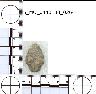    5_MO_0440100_0264-M4.png - Coal Creek Research, Colorado Projectile Point, 5_MO_0440100_0264 (potential grid: #278, Government Springs)
        
