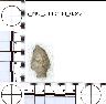 Coal Creek Research, Colorado Projectile Point, 5_MO_0440100_0342 (potential grid: #245, Dry Creek...