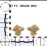     5_MO_0440200_0006-M2.png - Coal Creek Research, Colorado Projectile Point, 5_MO_0440200_0006 (potential grid: #245, Dry Creek Basin)
        
