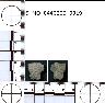 Coal Creek Research, Colorado Projectile Point, 5_MO_0440200_0019 (potential grid: #245, Dry Creek...