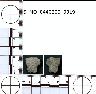 Coal Creek Research, Colorado Projectile Point, 5_MO_0440200_0019 (potential grid: #277, Montrose...