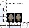     5_MO_0460100_0032.png - Coal Creek Research, Colorado Projectile Point, 5_MO_0460100_0032
        
