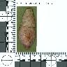 Coal Creek Research, Colorado Projectile Point, 5_MO_0520100_F2C_0056 (potential grid: #372, Cathedral...