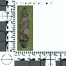 Coal Creek Research, Colorado Projectile Point, 5_MO_0520100_F2C_0057 (potential grid: #339, Grand View...