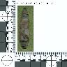 Coal Creek Research, Colorado Projectile Point, 5_MO_0520100_F2C_0057 (potential grid: #340, Grizzly...