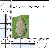 Coal Creek Research, Colorado Projectile Point, 5_MO_0520100_F8B_0018 (potential grid: #340, Grizzly...