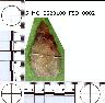     5_MO_0520100_F8D_0002-M1.png - Coal Creek Research, Colorado Projectile Point, 5_MO_0520100_F8D_0002 (potential grid: #339, Grand View Mesa)
        
