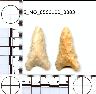 Coal Creek Research, Colorado Projectile Point, 5_MO_0560100_0003 (potential grid: #245, Dry Creek...